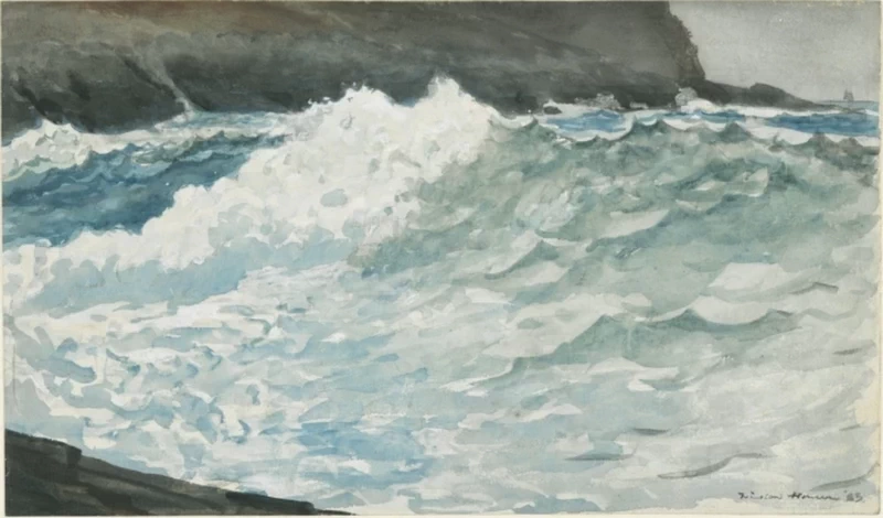 Surf, collo di Prout - Yale University Art Gallery